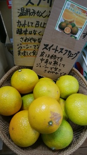 スイートスプリング.jpg