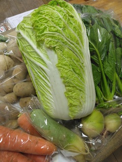 O䂳.jpg