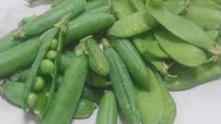 久留米豊豌豆、絹さや.jpg