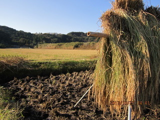 佐久間さん神楽餅おだかけ風景1.JPG