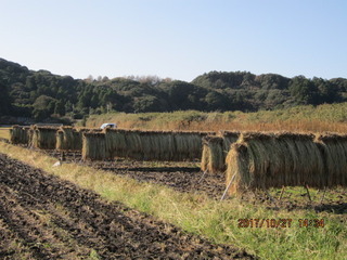 佐久間さん神楽餅おだかけ風景2.JPG