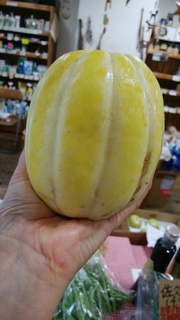 佐久間まくわ.jpg