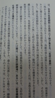 免疫細胞の7割.jpg