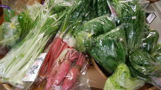 入荷野菜.jpg
