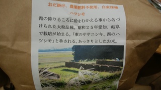 初霜.jpg