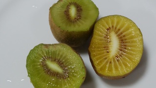 北植 牧11号.jpg