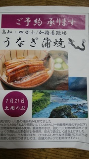 四万十うなぎちらし.jpg