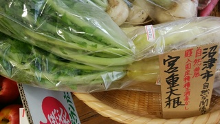 宮重大根.jpg