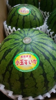 小玉西瓜.jpg