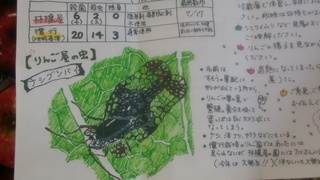 履歴.jpg