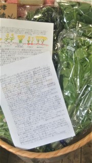 岩崎お便りかぶ (2).jpg