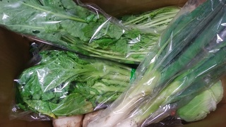 岩崎入荷.jpg