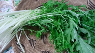 岩崎水菜18.jpg