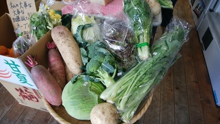 岩崎野菜.jpg