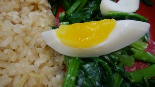 弁当 親田茹で卵.jpg