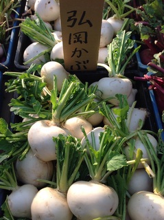 弘岡かぶ.jpg