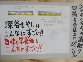 成分深谷もやし.JPG