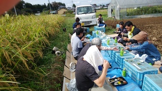 昼ご飯.jpg