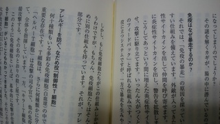 暴走細胞となだめ役.jpg