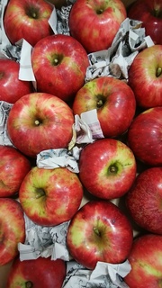 林檎屋紅玉28.jpg