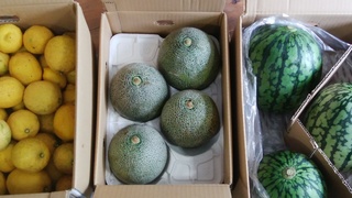 果物.jpg