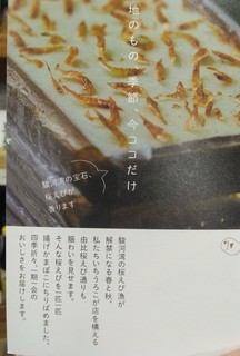 桜エビアゲカマパンフ.jpg