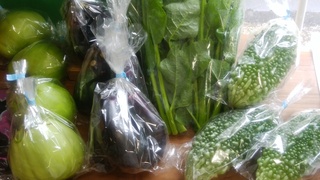 橋本農園夏野菜.jpg