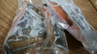 浅羽カレイ.jpg