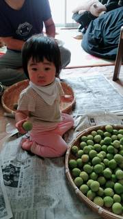 浦田さん青梅.jpg