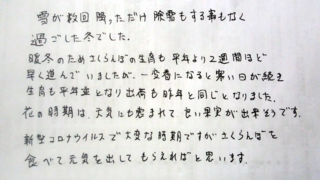 清野さん.png
