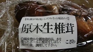 生シイタケ.jpg