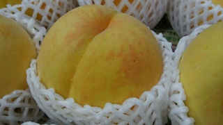 甲斐黄桃.jpg