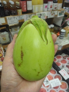 白丸茄子7日.jpg