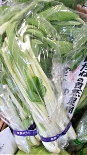 立春杓子菜 (2).jpg
