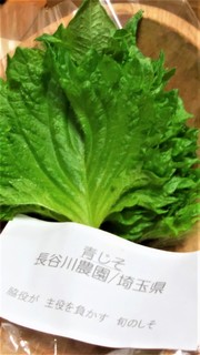 縮緬紫蘇 (2).jpg