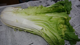 花芯.jpg