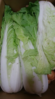 花芯白菜.jpg
