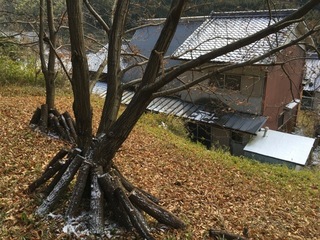 裏山富士山.jpeg