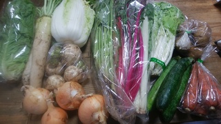 野菜6月5日岩崎.jpg