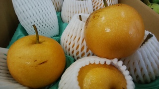 長寿梨.jpg