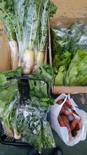 飯田さん野菜.jpg
