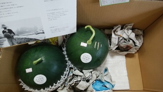黒小玉落合.jpg