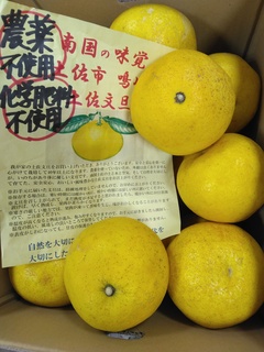 PyU.jpg