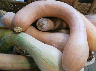 �P�O���V���ߎ��Z (2).jpg