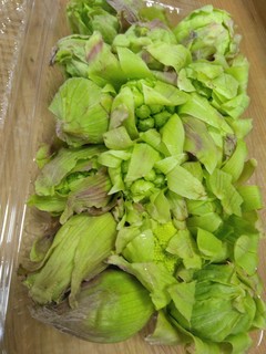 10真室川蕗の薹.jpg