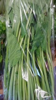 11市川小松菜.jpg