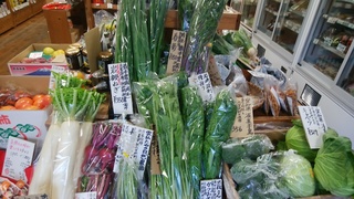 １２月１日橋本野菜.jpg