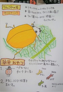 １２月２４日市田柿と虫と食べ方 (2).jpg