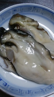 15生牡蠣の美しさ.jpg