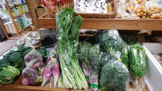 15畑菜.jpg